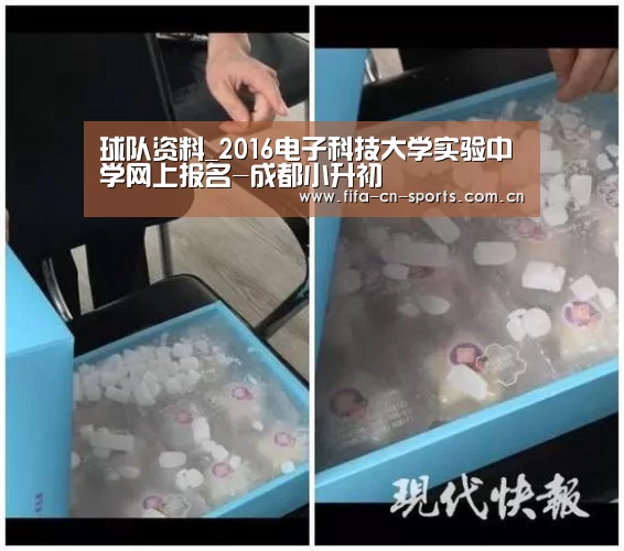 世界杯资讯