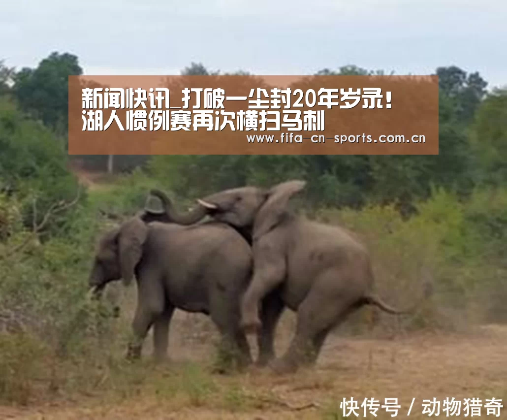 赛程时间
