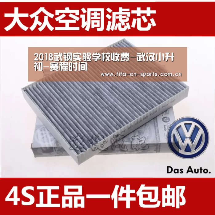 2018武钢实验学校收费-武汉小升初-赛程时间(图2) 球队资料