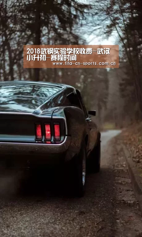2018武钢实验学校收费-武汉小升初-赛程时间(图1) 赛程时间
