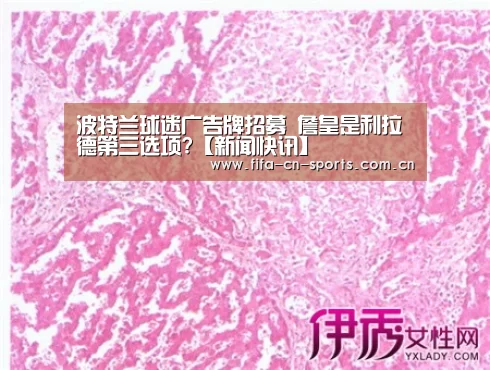 球队资料
