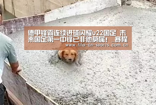 新闻快讯