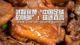 武磊获赞“中国足球的姚明”!球迷直言等他登陆欧洲联赛再说吧:赛程时间(图4) 赛程时间