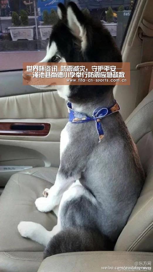世界杯资讯_防震减灾,守护平安——渑池县