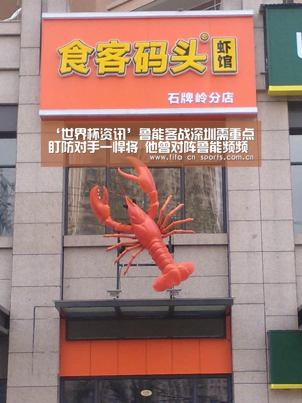 球队资料