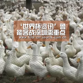 球队资料