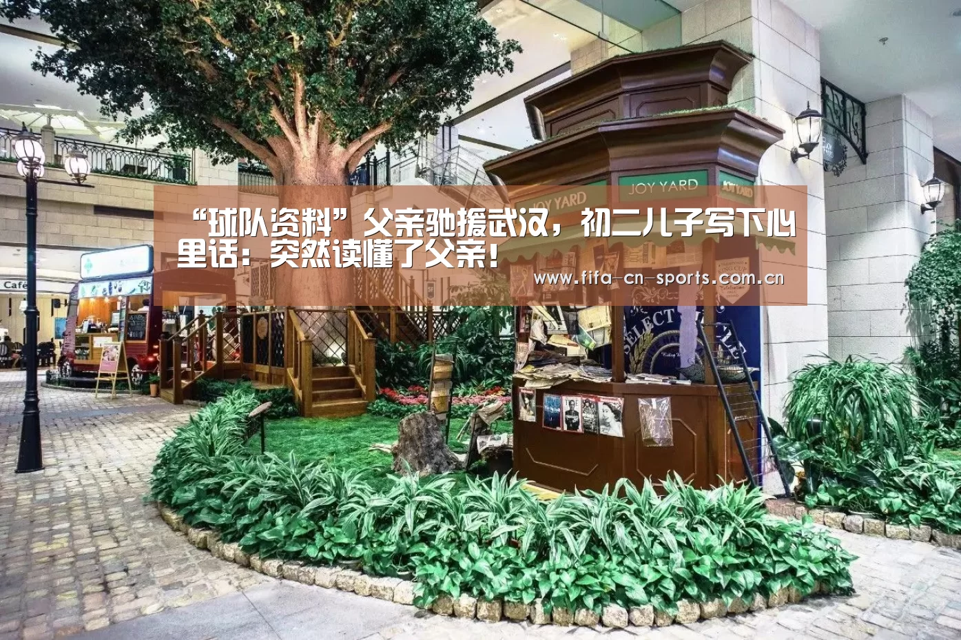 球队资料